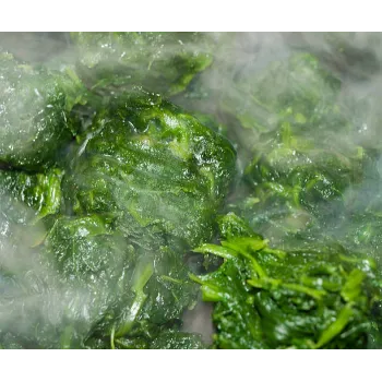 Frozen Spina ch (29)-3262015-99733.webp